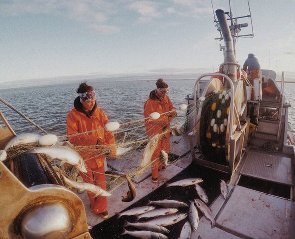 Slipstream Sockeye In The News