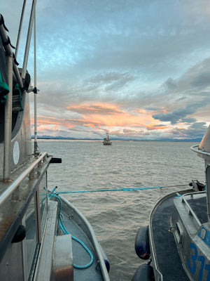 Boatyard Bulletin Vol. III