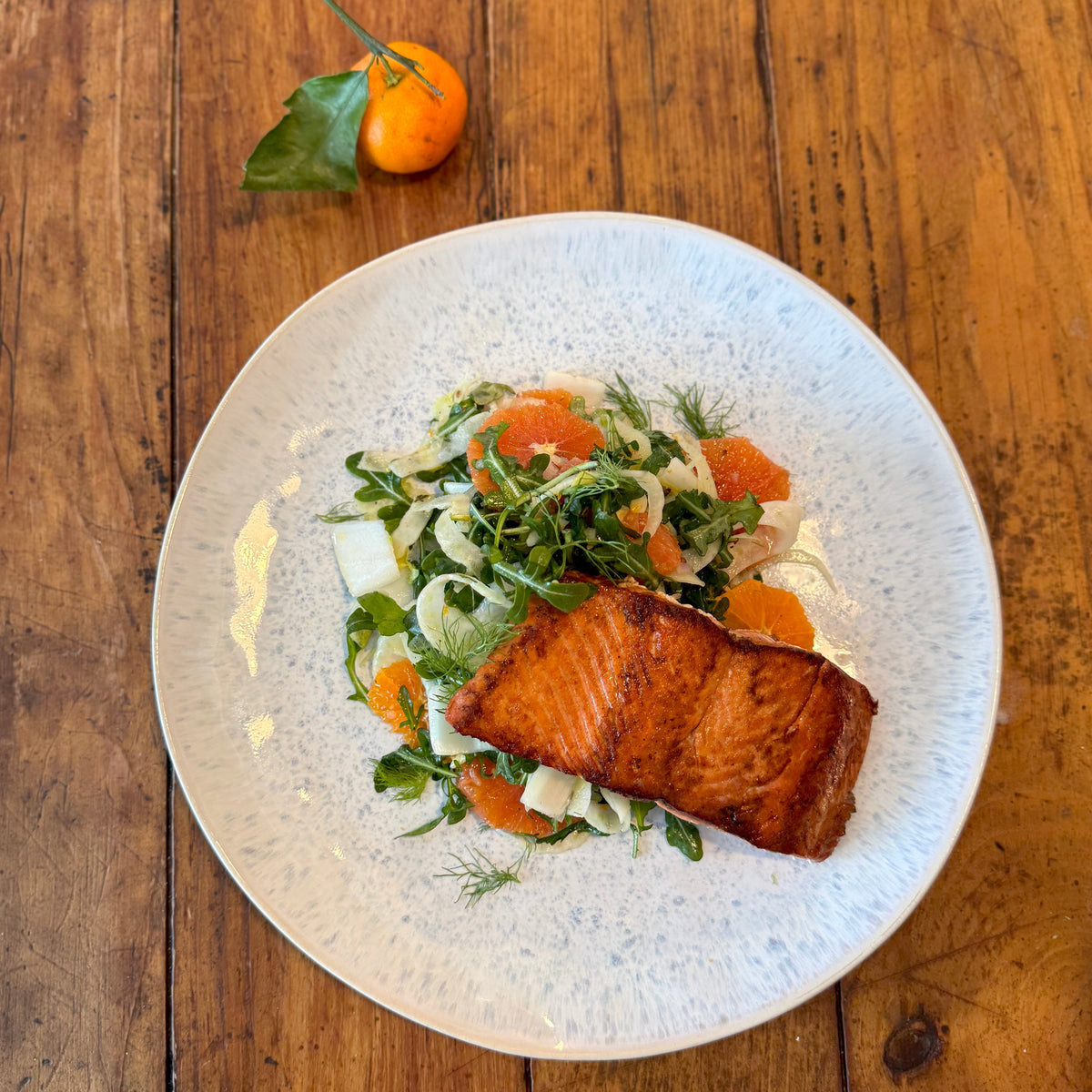 Citrus Fennel Salad with Seared Sockeye – Slipstream Sockeye