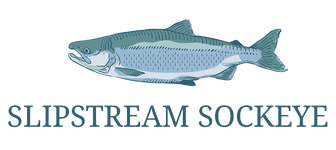 Slipstream Sockeye